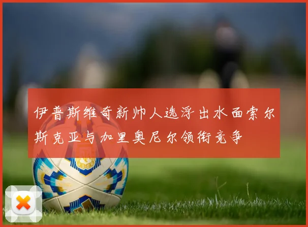 伊普斯维奇新帅人选浮出水面索尔斯克亚与加里奥尼尔领衔竞争