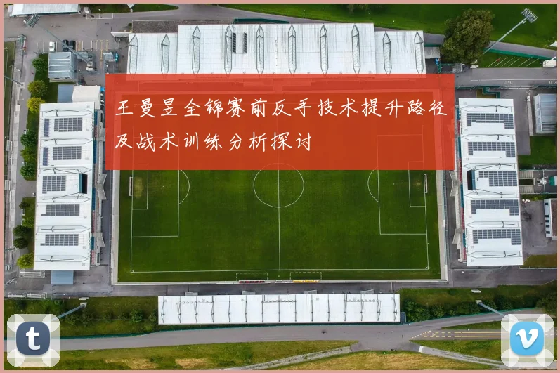 王曼昱全锦赛前反手技术提升路径及战术训练分析探讨